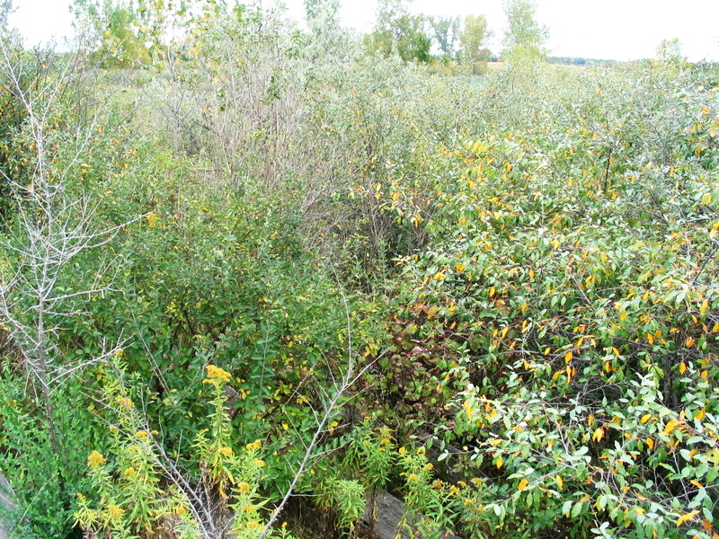 Thunder Road Speedway - Sept 2004 Photo (newer photo)